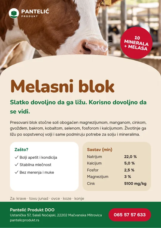 A4 flyer: Molasses lick block